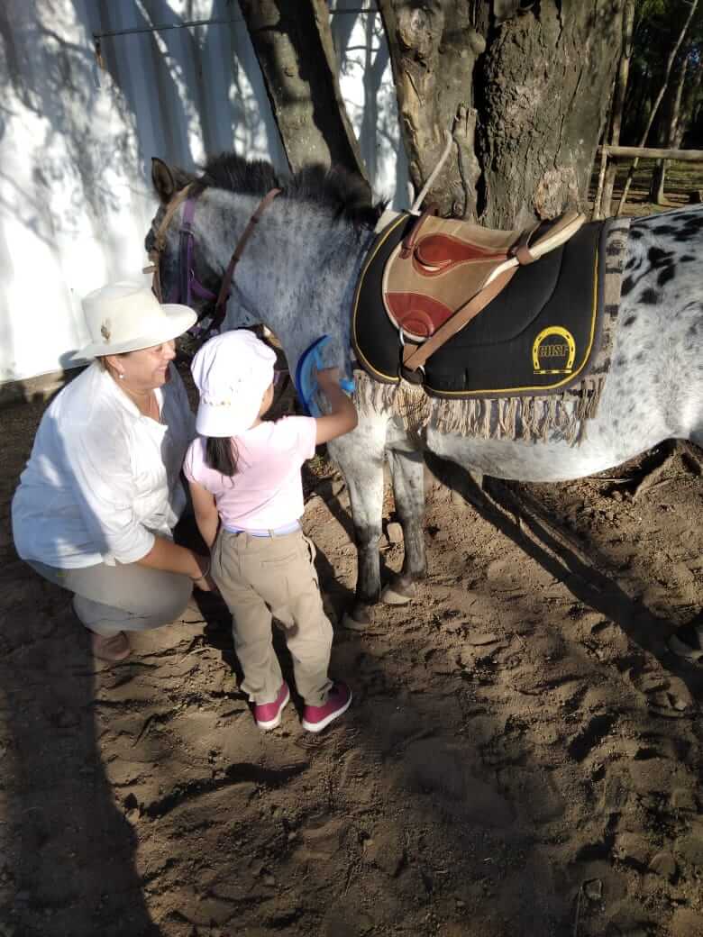 equinoterapia