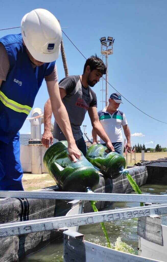 Ya funciona en Argentina la primera planta de tratamiento de aguas con microalgas 1 microalgas investigacion 1