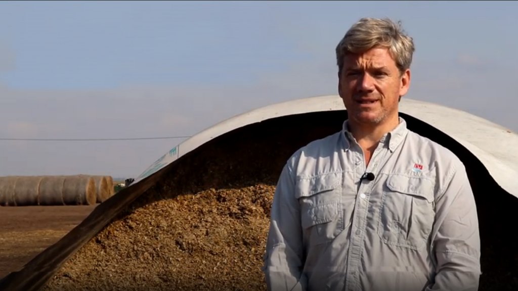 Silaje de maíz: claves para promover la planta entera y lograr hasta 50% más de rendimiento energético 1 Thomas Widmer