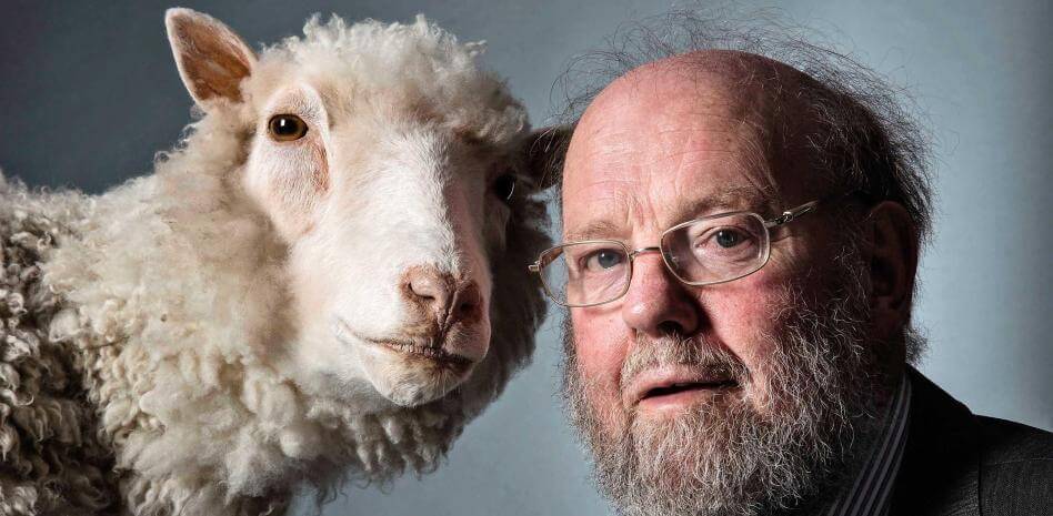 Edición genética: el laboratorio que creó la oveja Dolly ahora busca pollos resistentes a la gripe aviar 1 Dolly wilmut