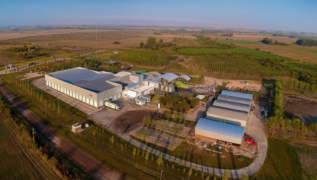 Producción avícola: un día en una planta productora de huevos y pollos híper tecnológica en Entre Ríos 3 Fadel planta e1696634010149