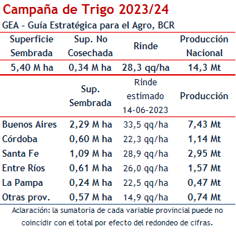 campana trigo
