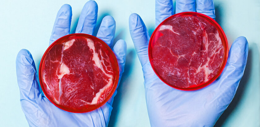 carne sintetica 2