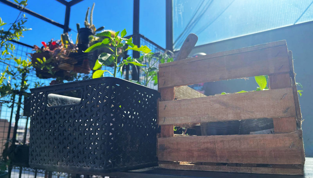 huerta en casa cajon