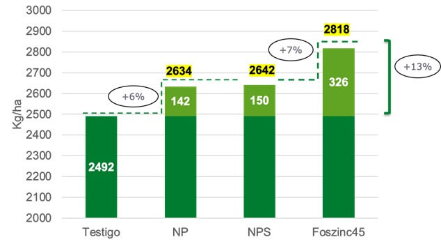 Nutrición con fósforo: cinco ensayos en diferentes zonas del país muestran el impacto en los rindes 3 brechas 3