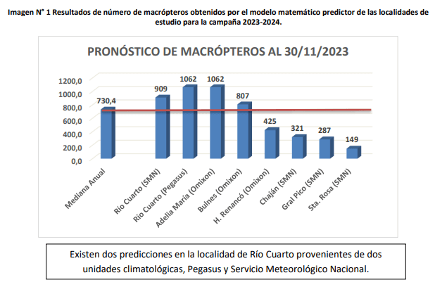 pronostico chicharrita