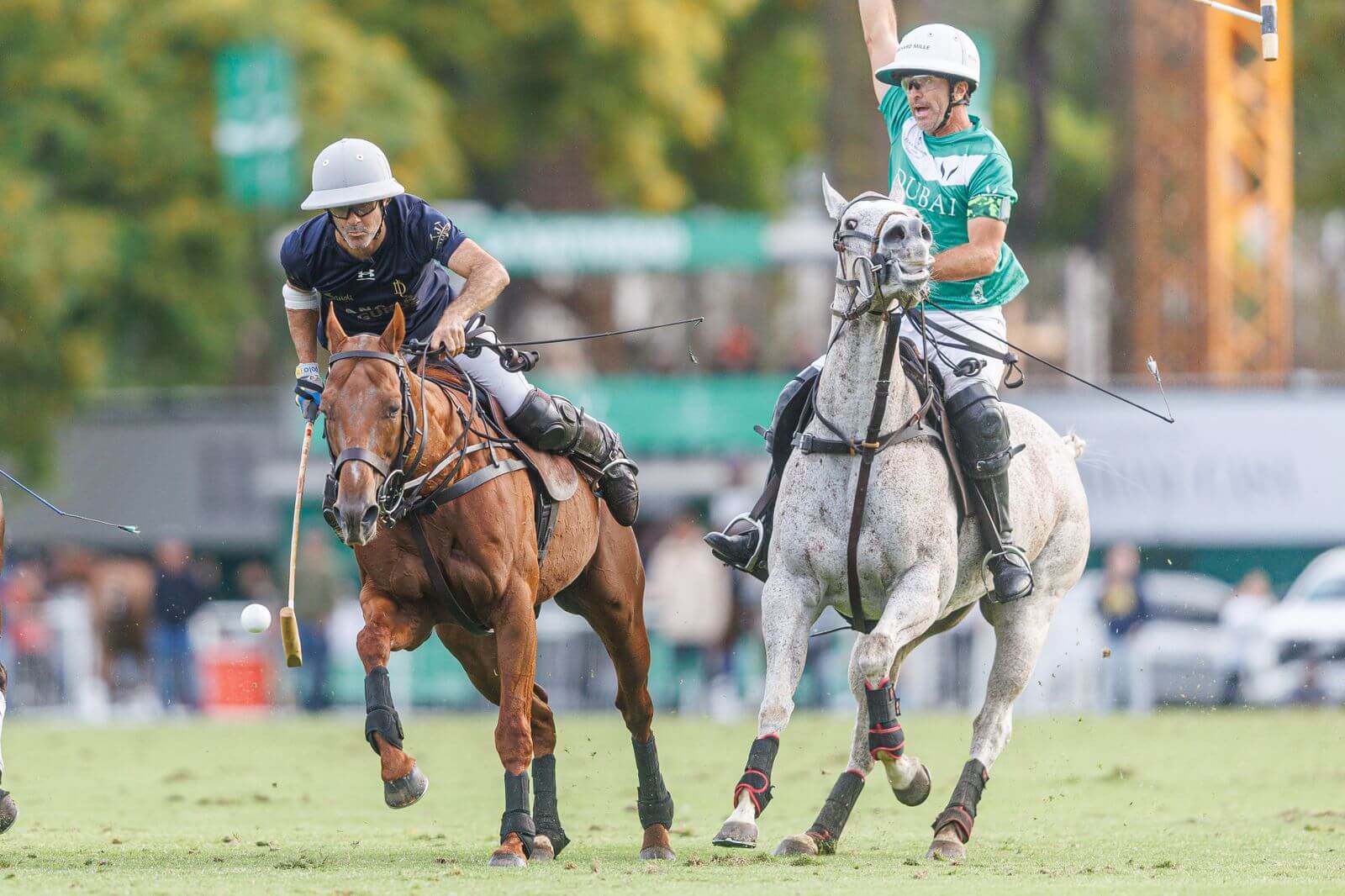 polo argentino
