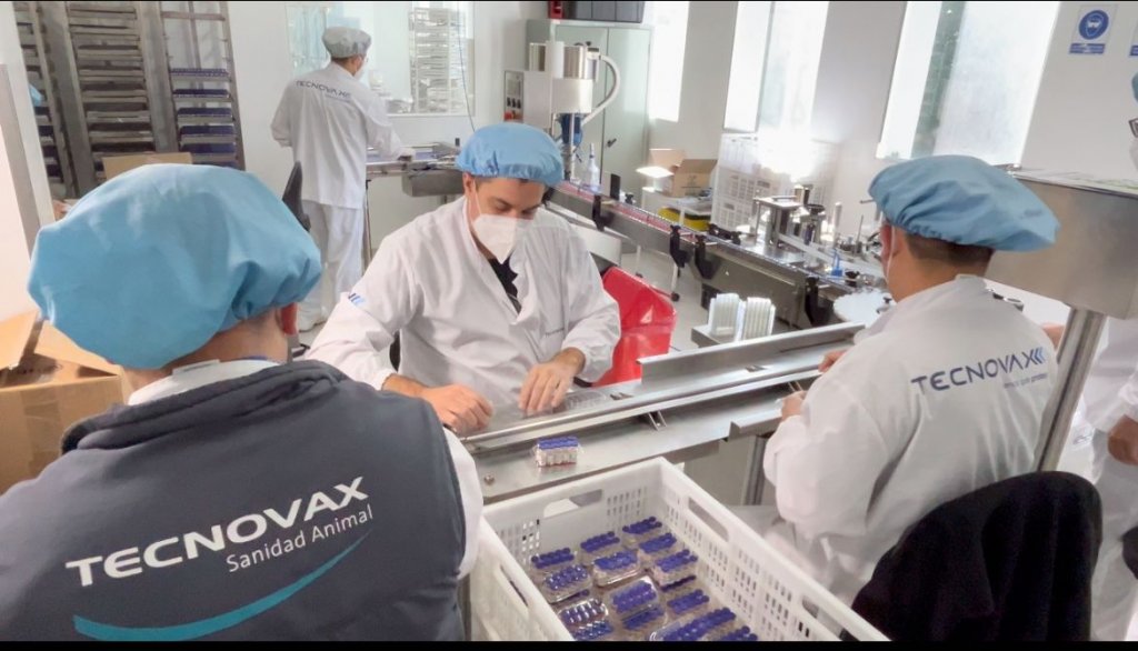 tecnovax