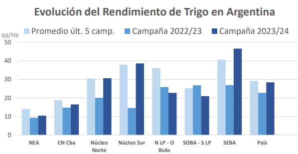 rinde trigo grafico