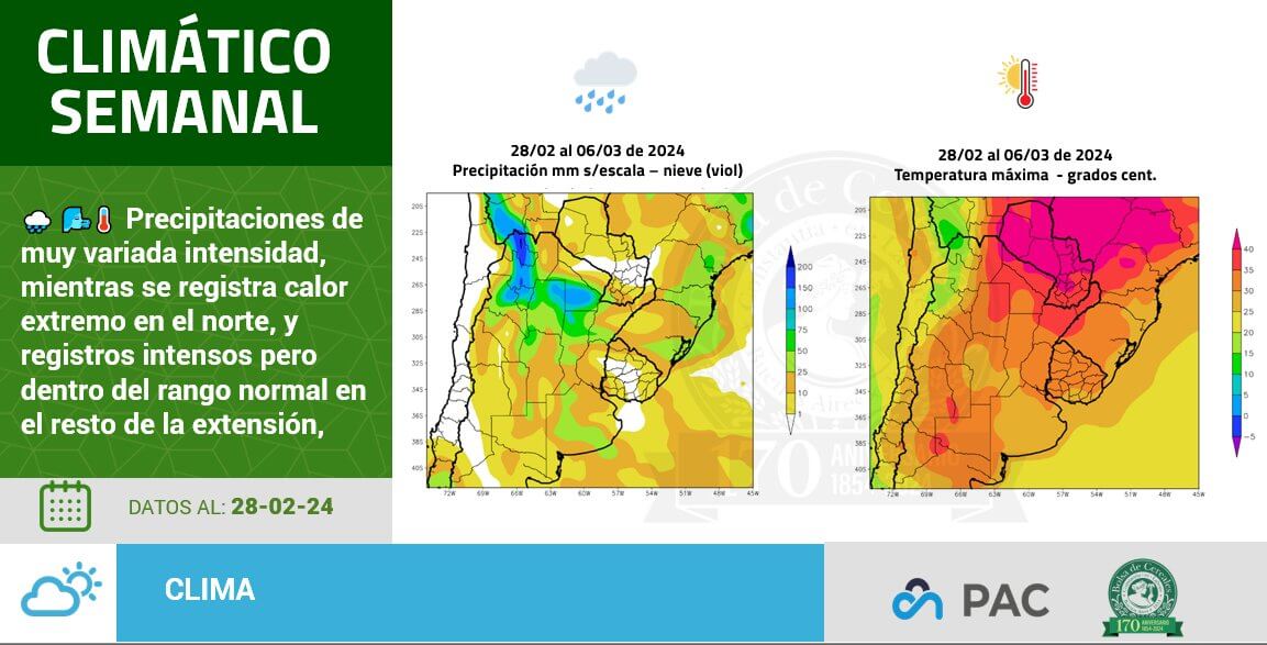 mapas bolsa
