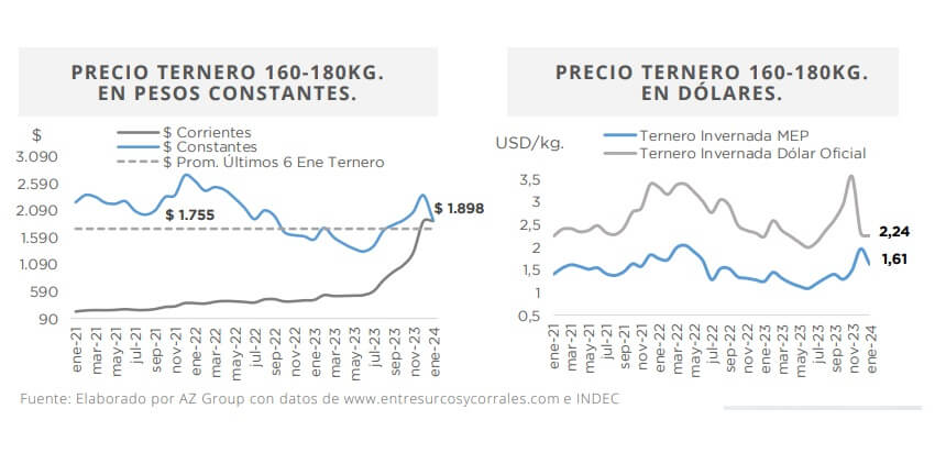ternero 1