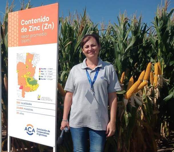 Déficit de nutrientes: "Los niveles de fósforo, azufre y cinc vienen cayendo de manera preocupante" 1 foto dos amancay