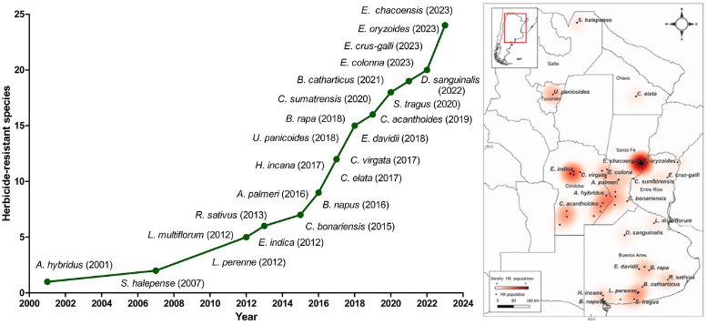 Mapa y acumulado de malezas en la Argentina