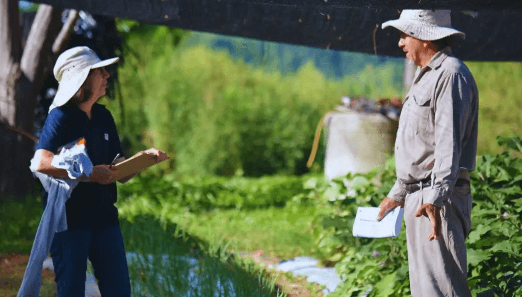 productores agricultores huerta inta