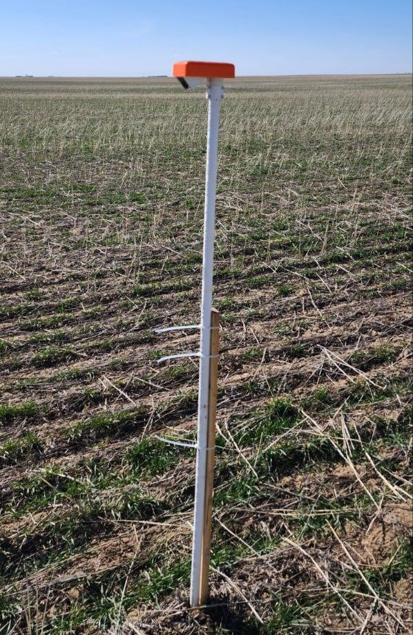 Canada 2024 winter wheat
