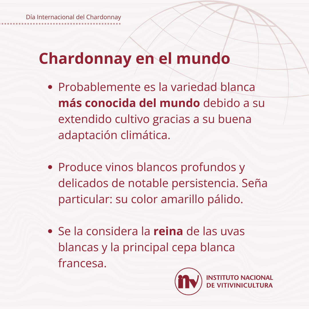chardonnay 2024 inv 2