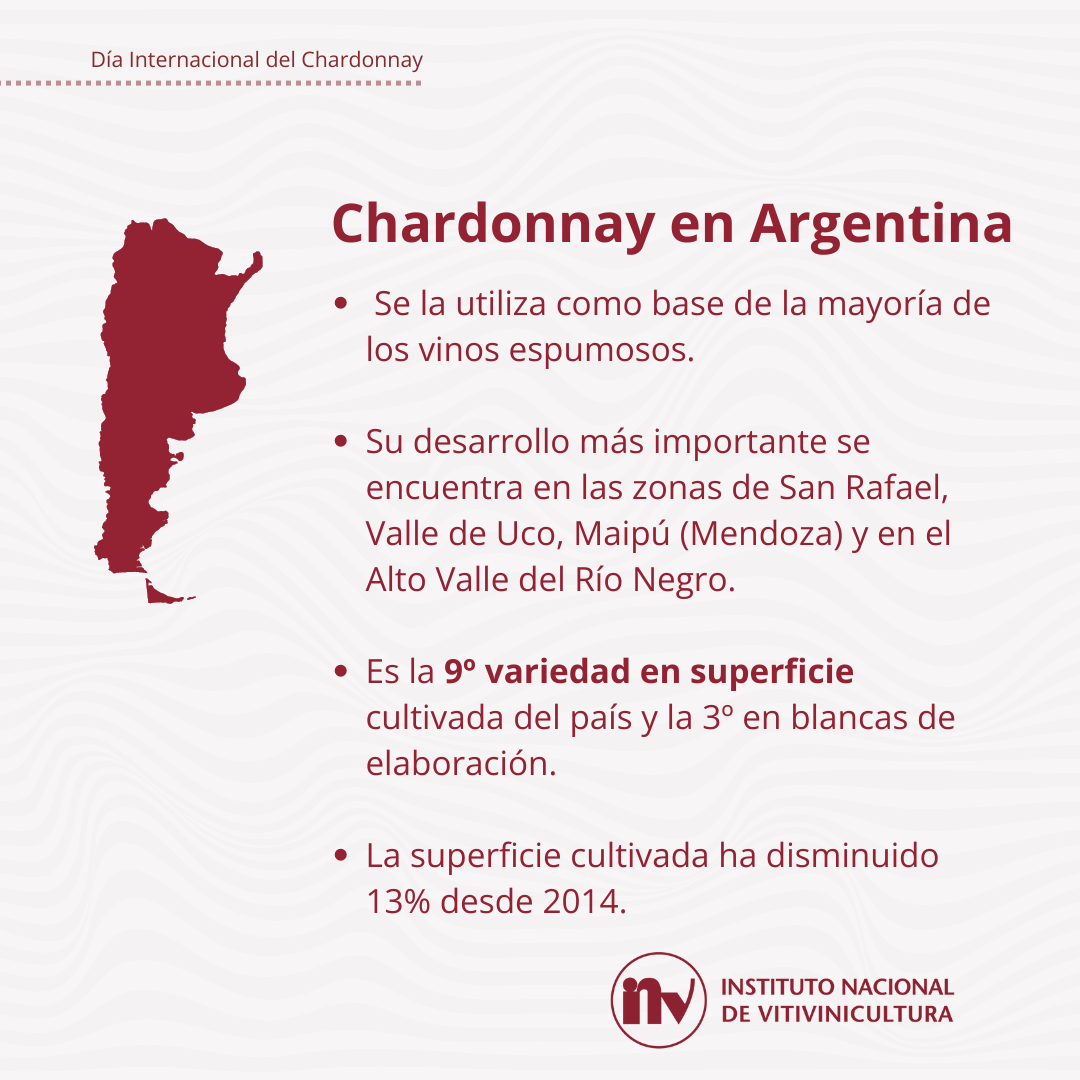 chardonnay 2024 inv 3