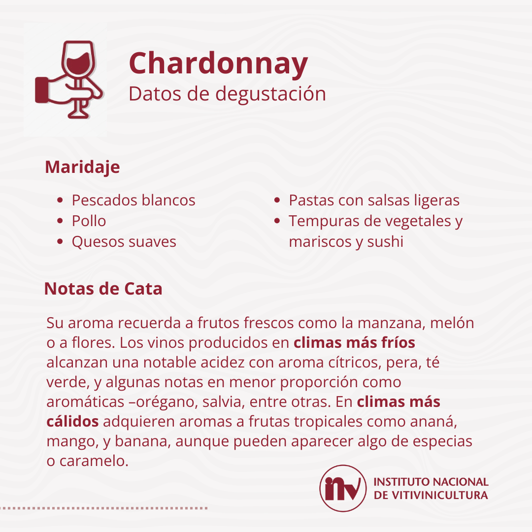 chardonnay 2024 inv 4
