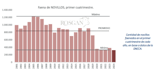 faena novillos numeros