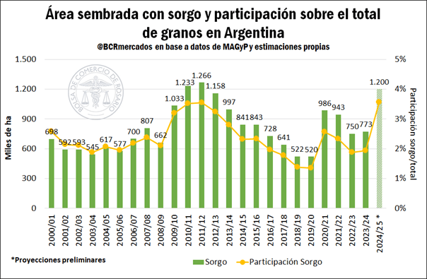 siembra sorgo bcr grafico