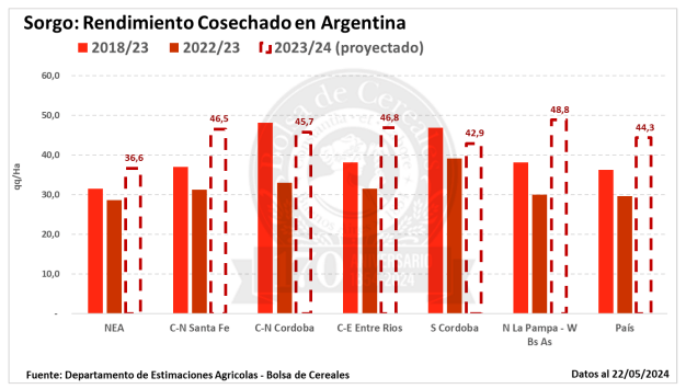 sorgo grafico rindes