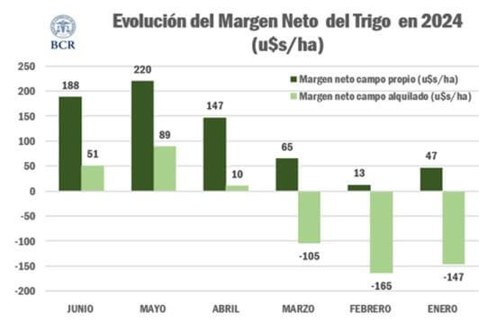 grafico margenes