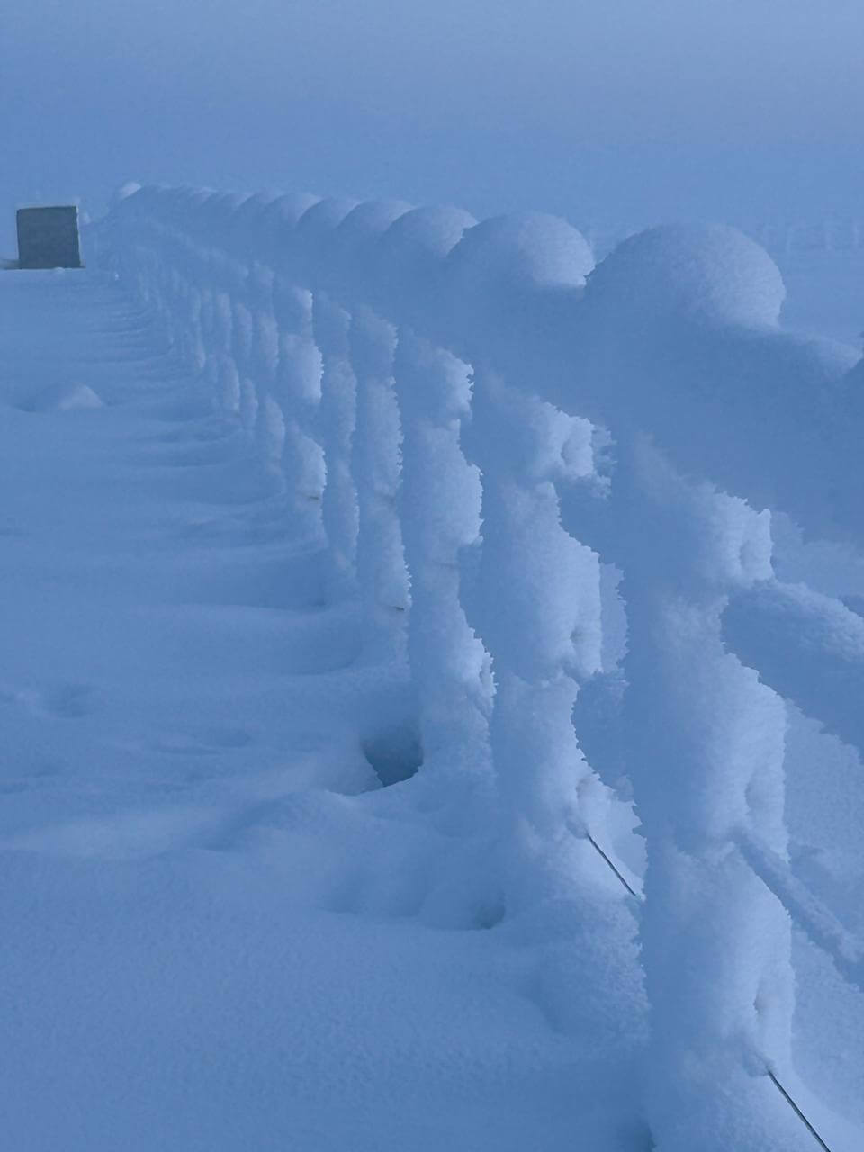 nieve santa cruz 2