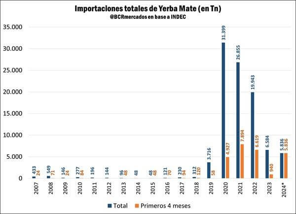 yerba mate7