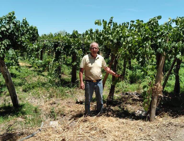 Vinos de calidad: el plan de San Juan para recuperar protagonismo y competirle al Valle de Uco 3 Eduardo Sanchez productor