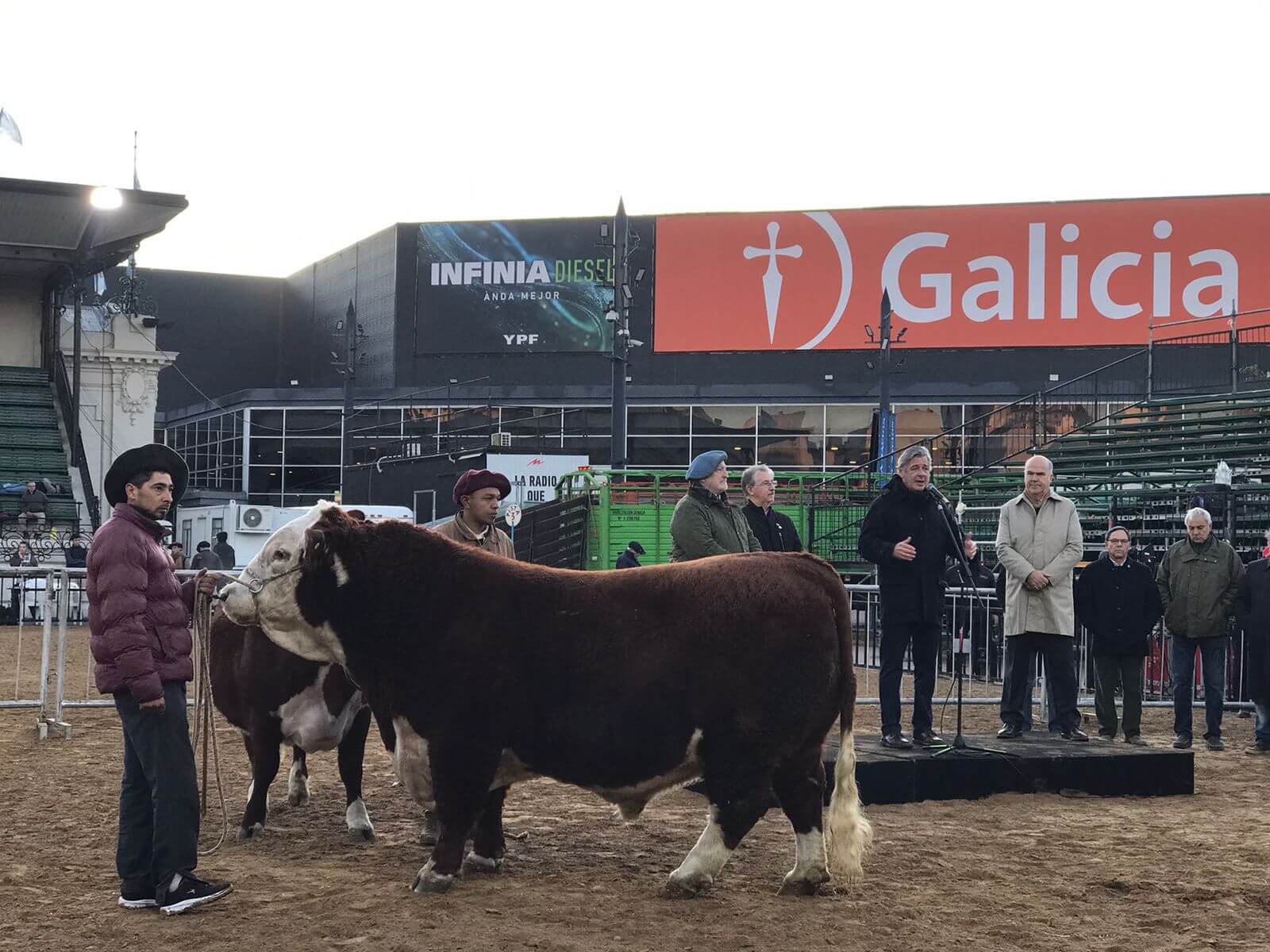 La Rural, con la “mística” de la Scaloneta: la historia del primer animal que llegó a Palermo y su vínculo con la Selección 1 Hereford 3
