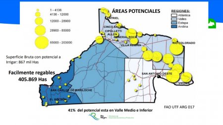 “Es como el Corn Belt americano”: con la fuerza del riego, la Patagonia va por su propio clúster de maíz 4 Rio Negro 2