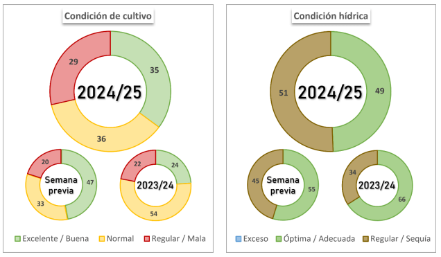 trigo condicion