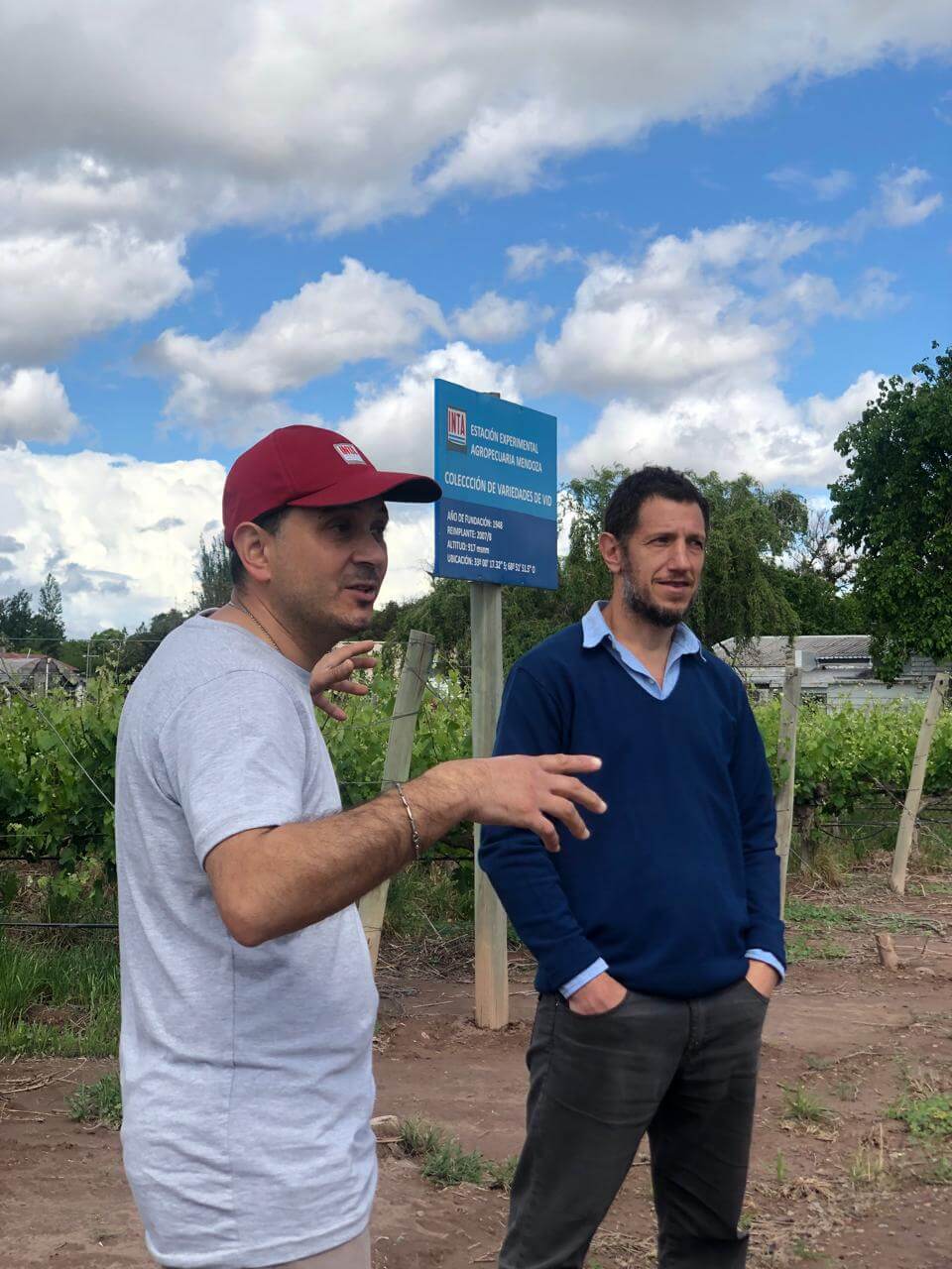 Los “guardianes” de la colección de uvas más grande del Hemisferio Sur alertan: “Hay que decidir el futuro” 1 Ampelografica 4