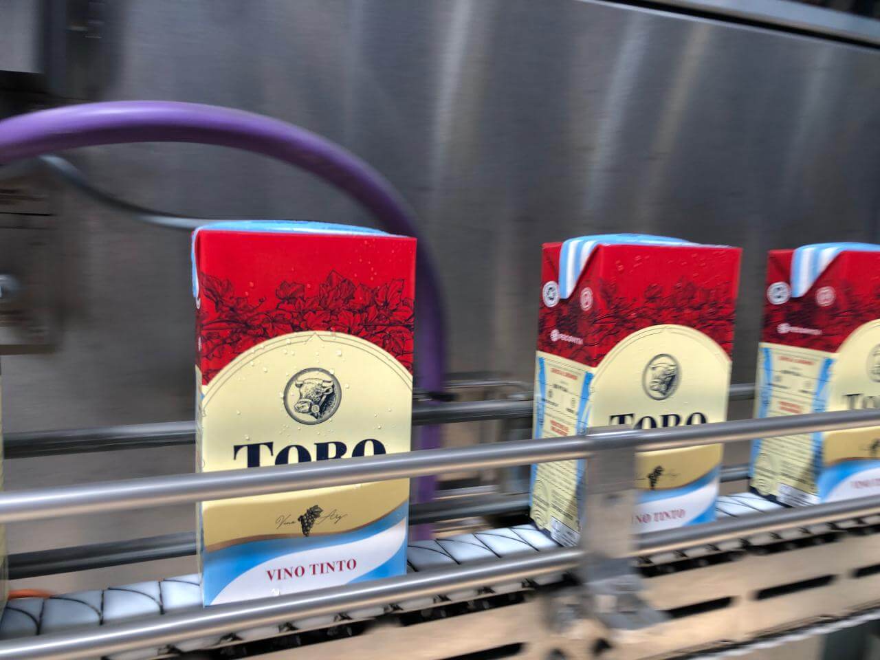 Fecovita toro