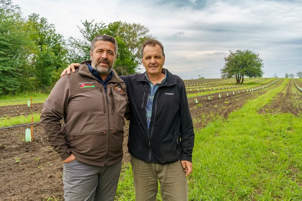 Al lado del maíz y la soja, sumó trufas negras y ahora impulsa una asociación argentina de truficultores 5 KSR8936