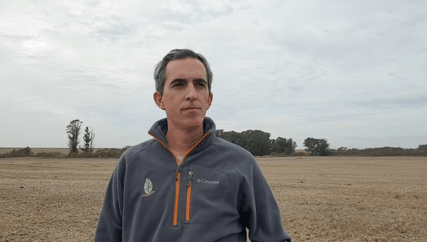 Malezas: con mapeo digital controlaron 99% del raigrás resistente, ahorrando 70% de herbicida 1 mail 1
