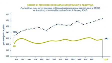 publicacion2