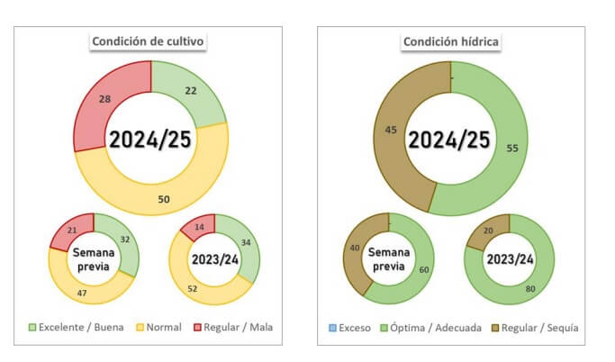 soja estado