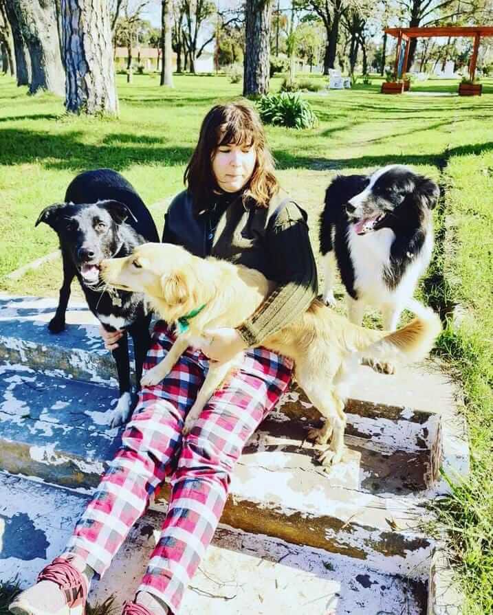 Desconexion Con sus perros