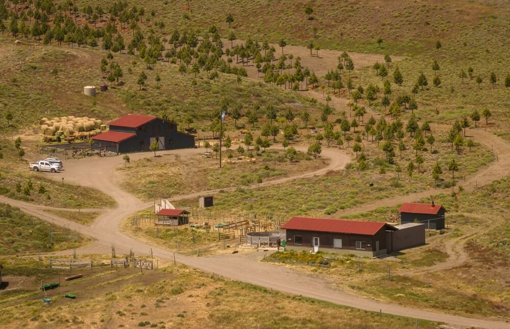 Quesos patagónicos: en la precordillera de Junín de los Andes, las vacas Jersey recuperan una tradición 1 EM 2024 025 00251