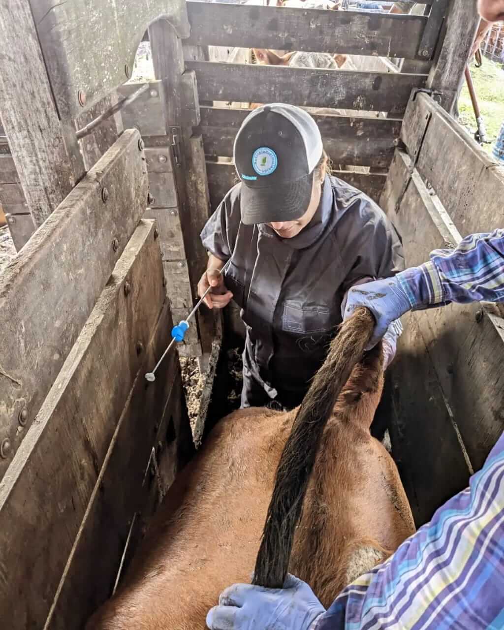 Trabajando03