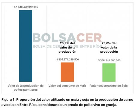 informe1