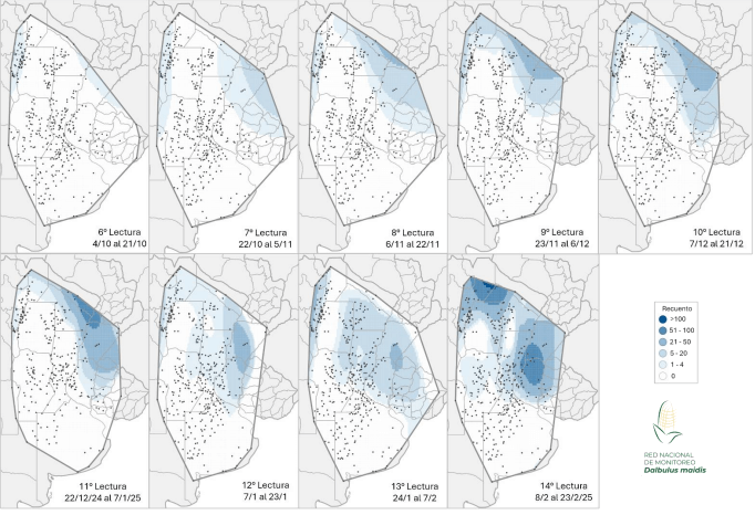 mapas dalbulus maidis