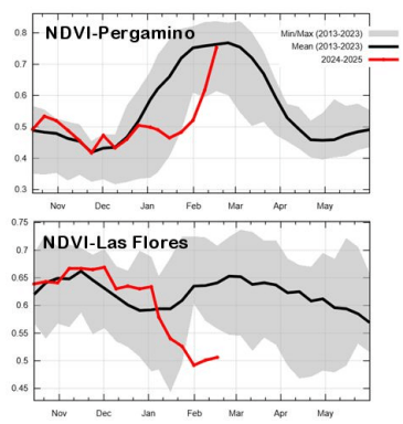 ndvi pergamino las flores