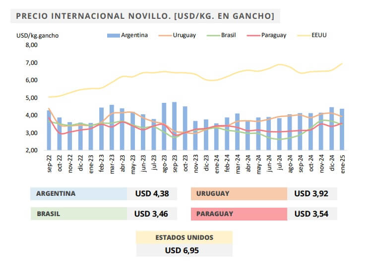 precio novillo