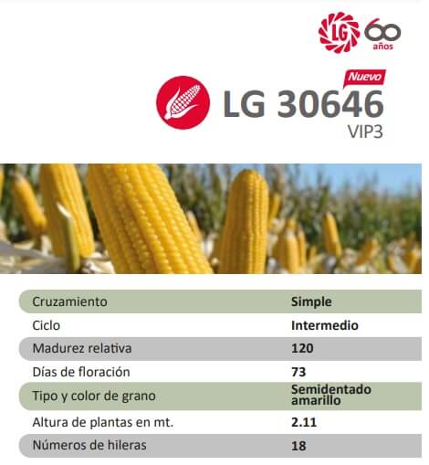 LG 30646
