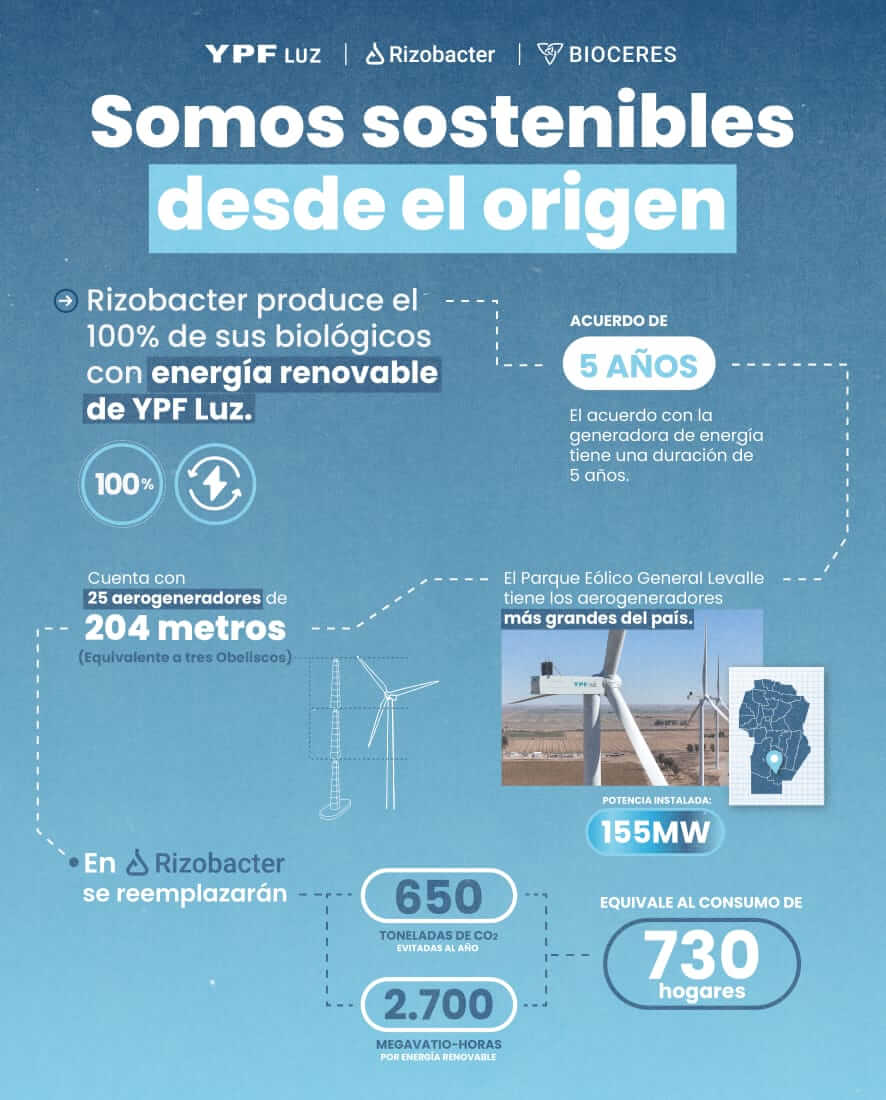 rizo ypf