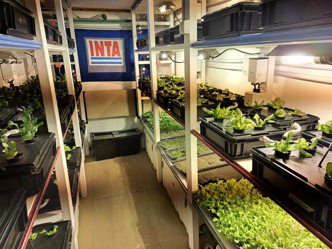 INTA Hidroponia 1