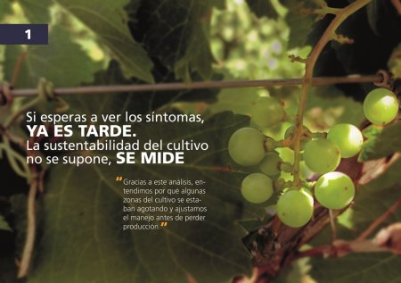 Sustentabilidad