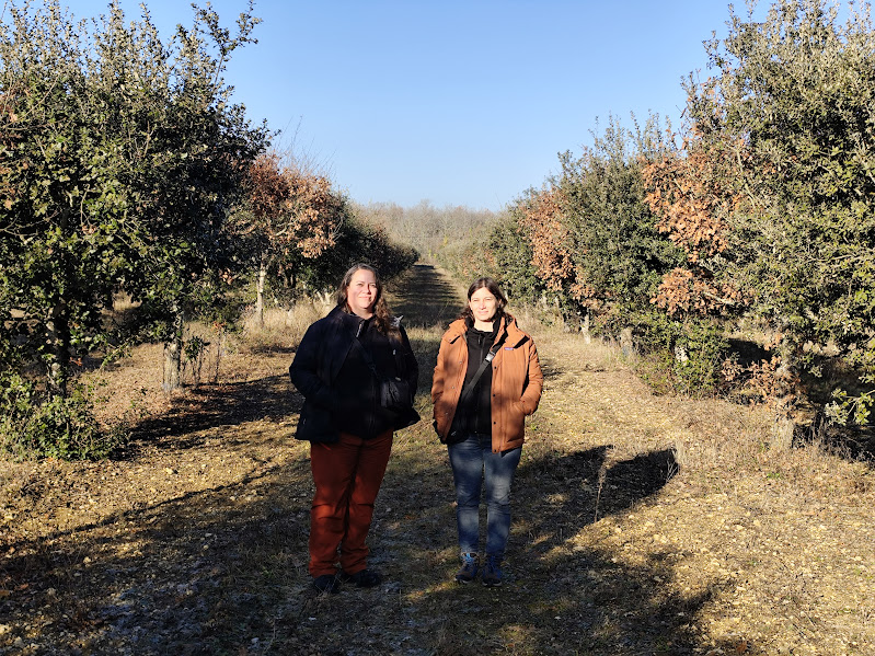 Del Alto Valle a los montes tucumanos: el interés por las trufas crece y se federaliza en Argentina 2 clara y flor